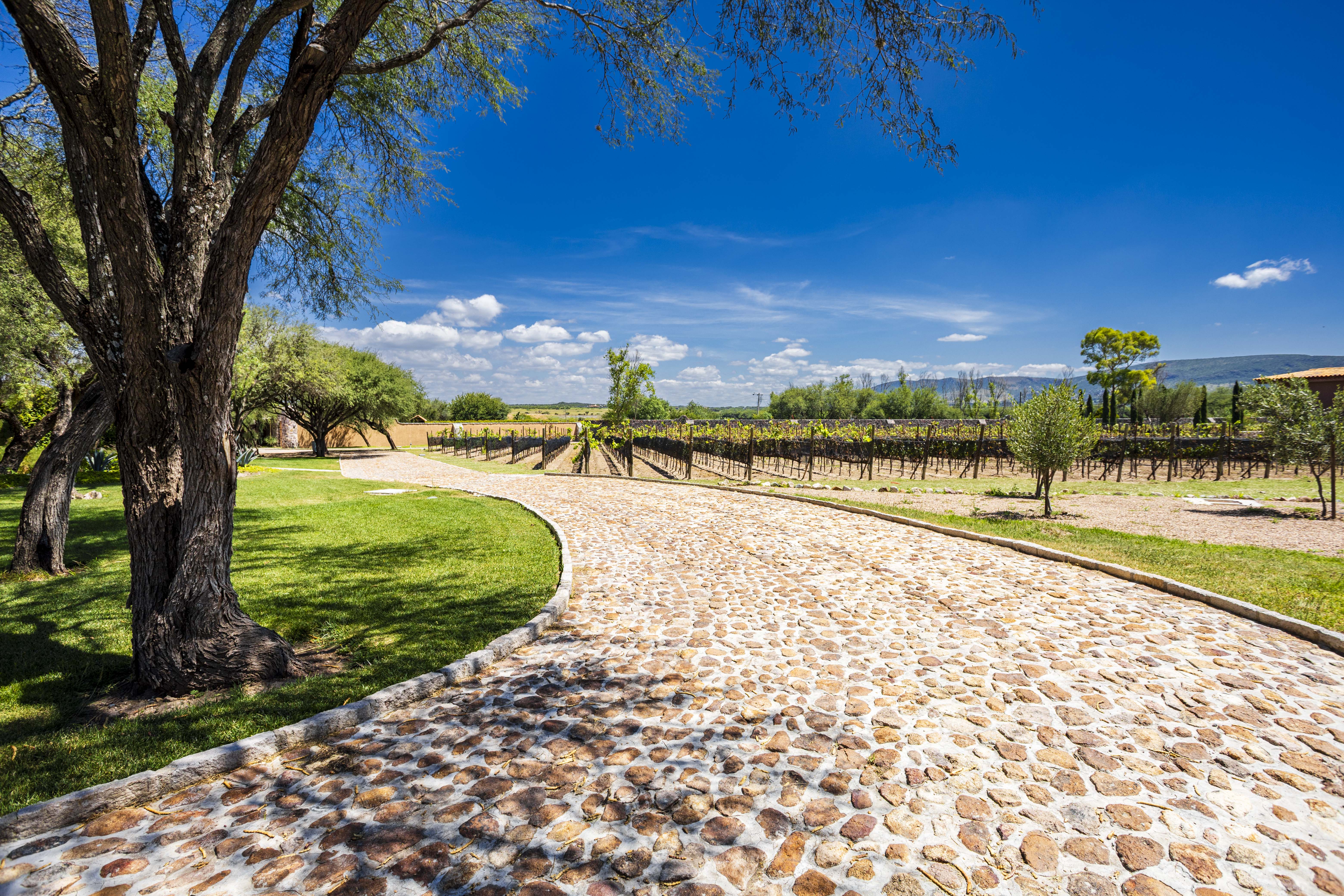  Viñedos Patria Lots - 物件實景