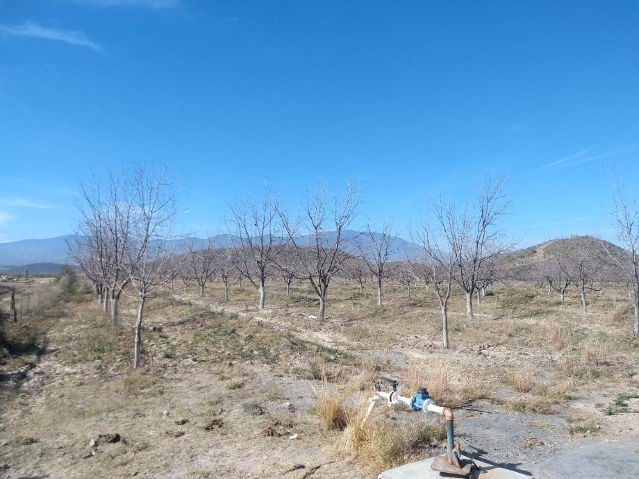 KM 3 CARRETERA PARRAS A GENERAL CEPEDA, Parras, Coahuila de Zaragoza, 27987, Mexico, 1 Bedroom Bedrooms, ,Residential,For Sale,KM 3 CARRETERA PARRAS A GENERAL CEPEDA,1472261