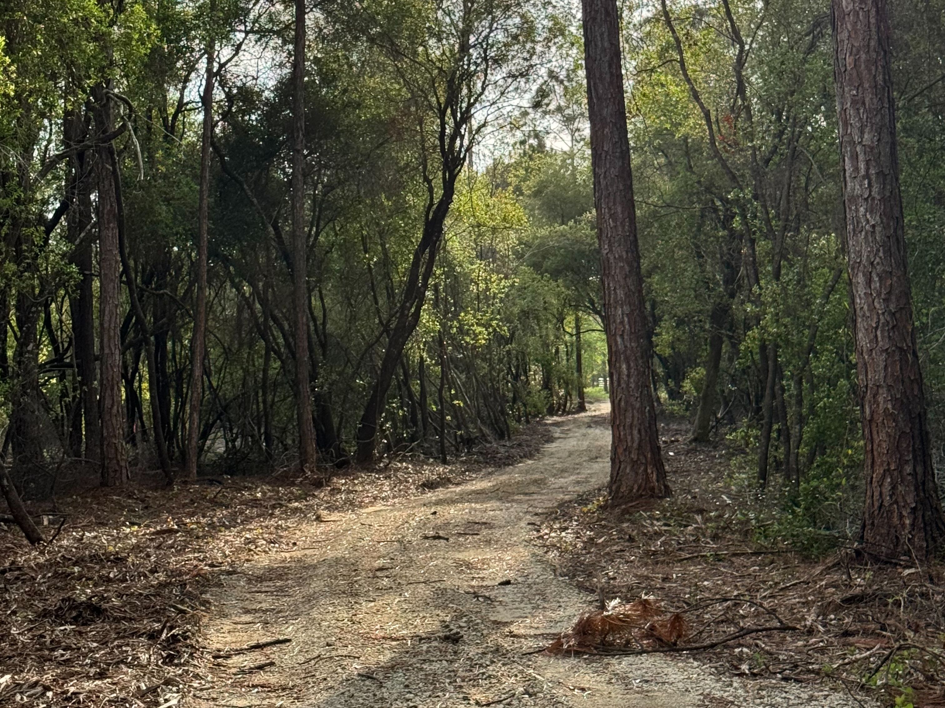  Creekside Estate Homesite  14.88 Acres - 物件實景