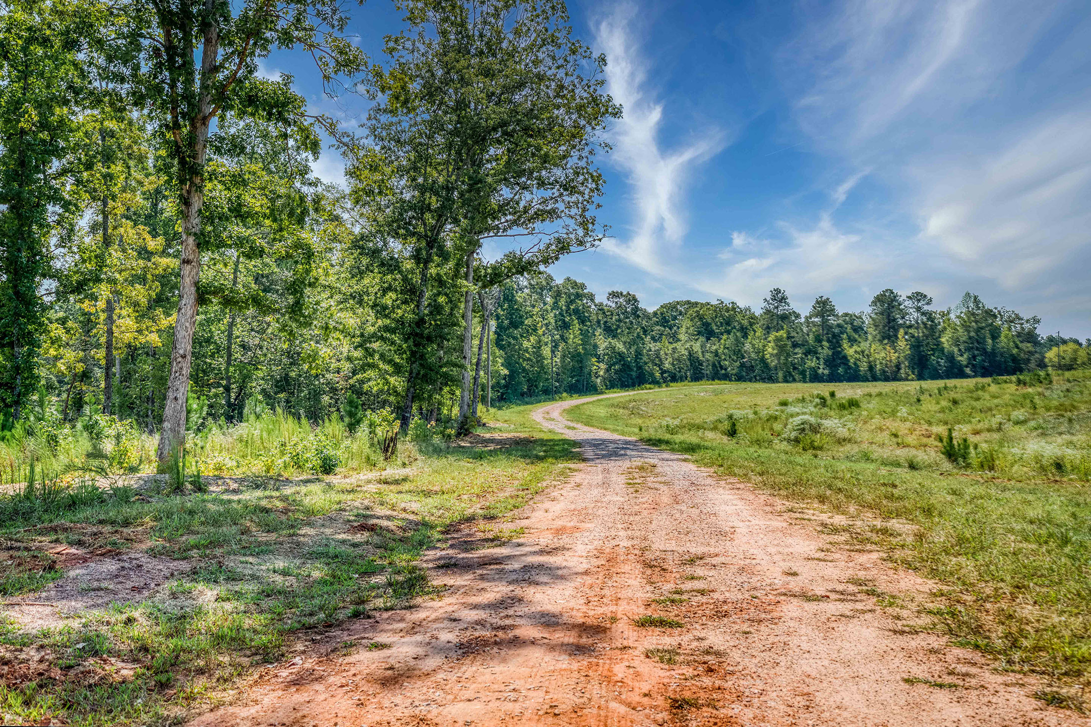  A Rare 158+/- Acre Retreat New Wire Park and Athens - 物件實景