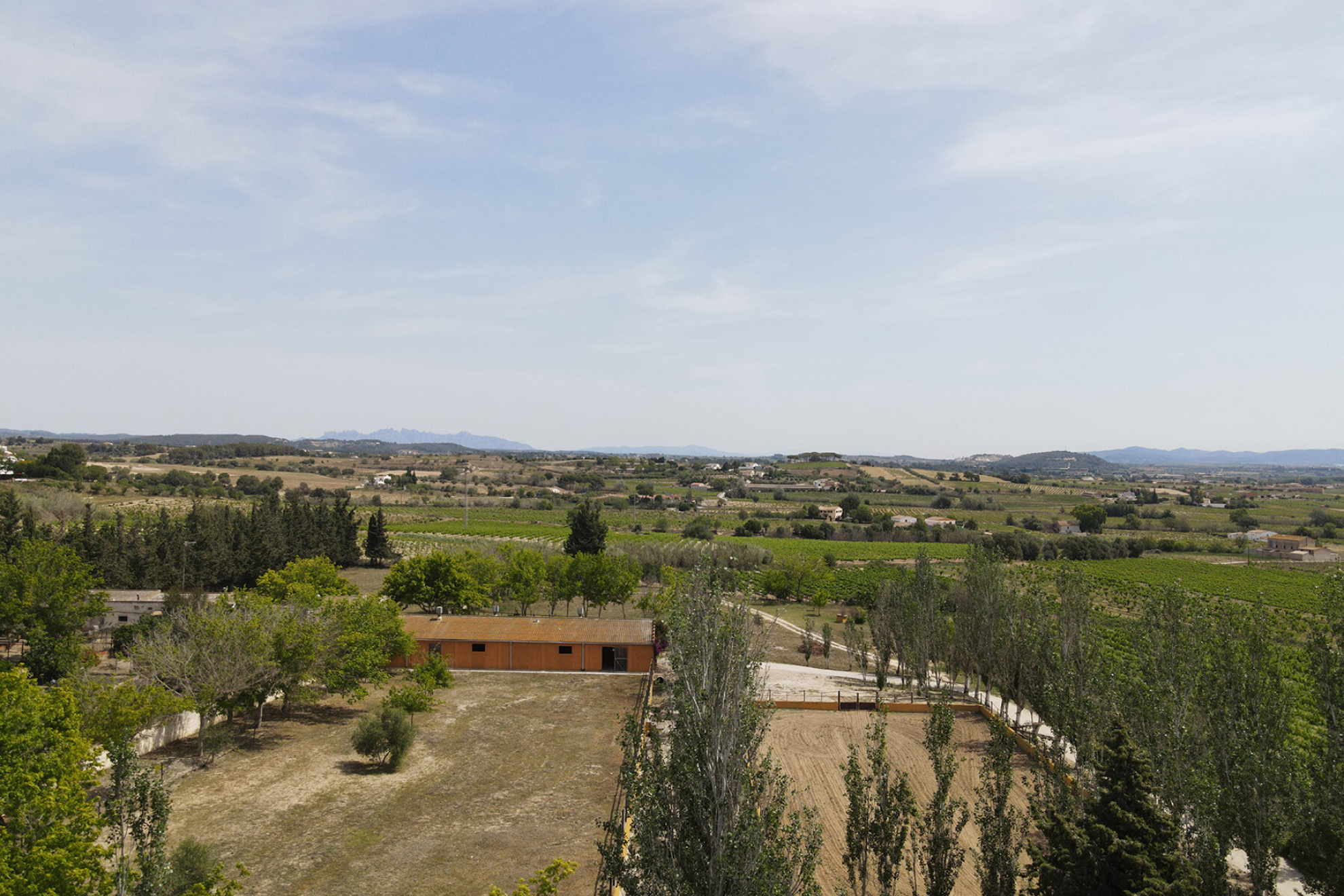 Equestrian Rural Gem in Castellví de la Marca, Only 5 Minutes from Vilafranca - 物件實景