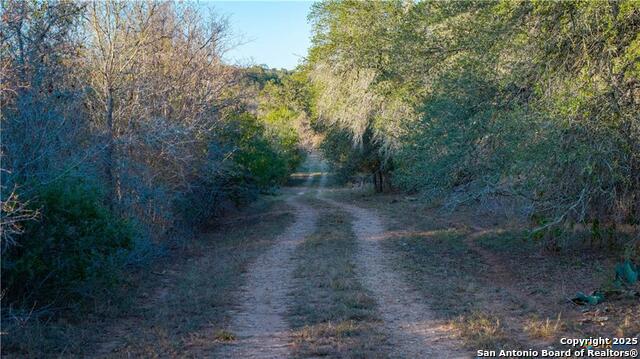 Kingsbury, Texas, 78638, United States, ,3 BathroomsBathrooms,Residential,For Sale,2005147