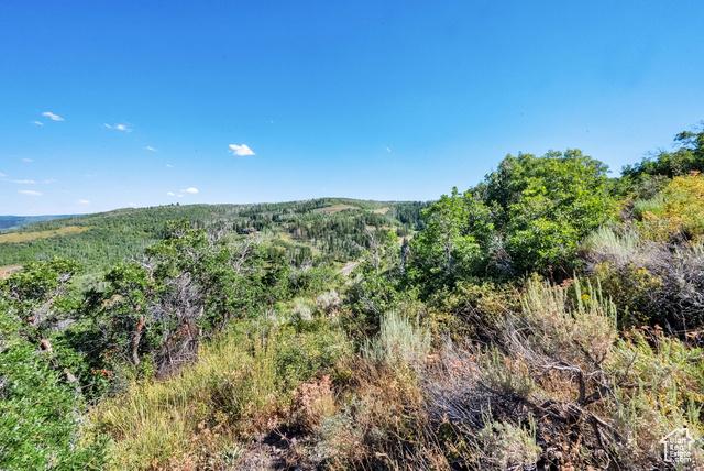 Kamas, Utah, 84036, United States, ,Residential,For Sale,1976580