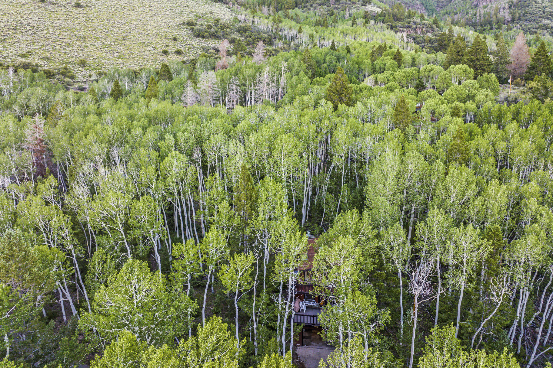  Fish Lake Two-Story Cabin with Views - 物件實景