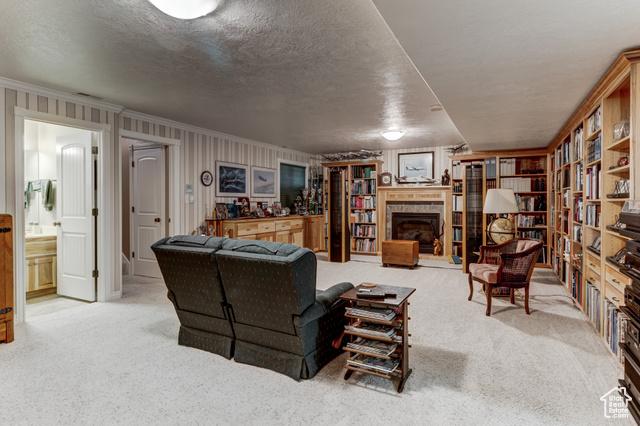 Fairview, Utah, 84629, United States, 4 Bedrooms Bedrooms, ,5 BathroomsBathrooms,Residential,For Sale,1879255