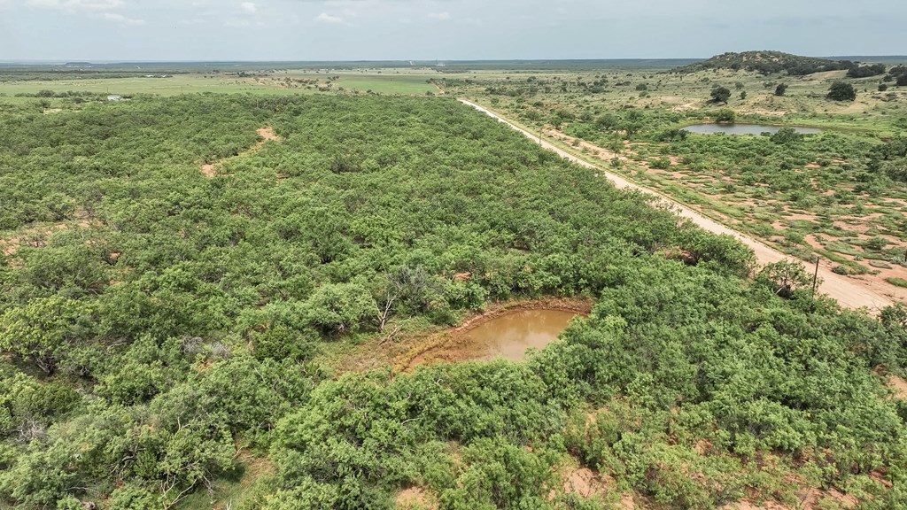 Tennyson, Texas, 76953, United States, ,Land,For Sale,1982007
