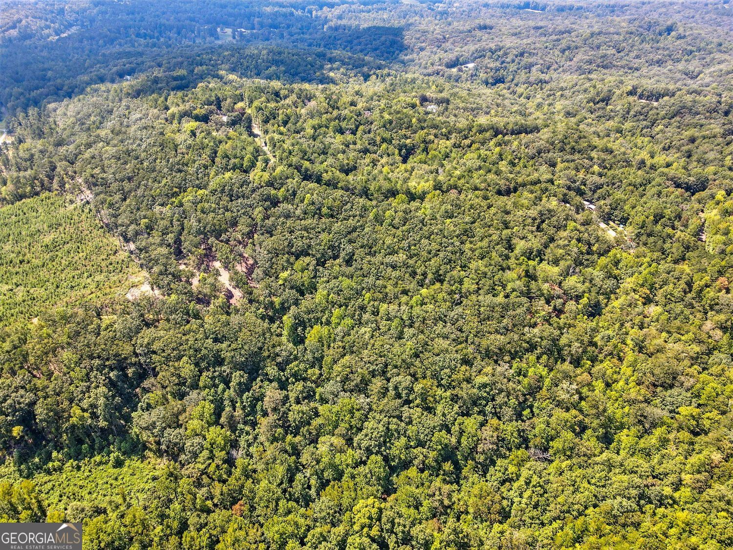 Waleska, Georgia, 30183, United States, ,Land,For Sale,1929808