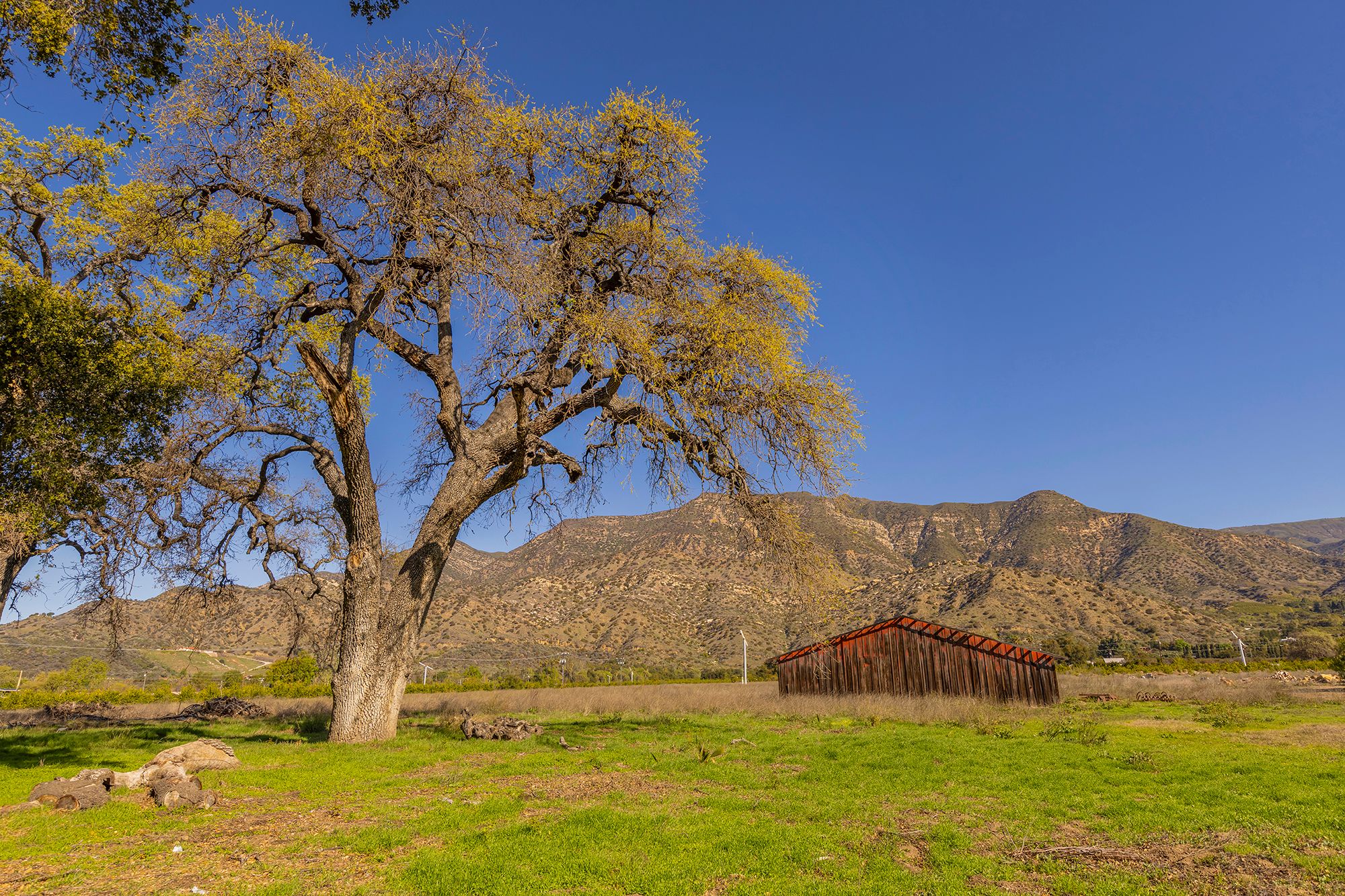  1201 Grand Avenue, Ojai, CA 93023 - 物件實景