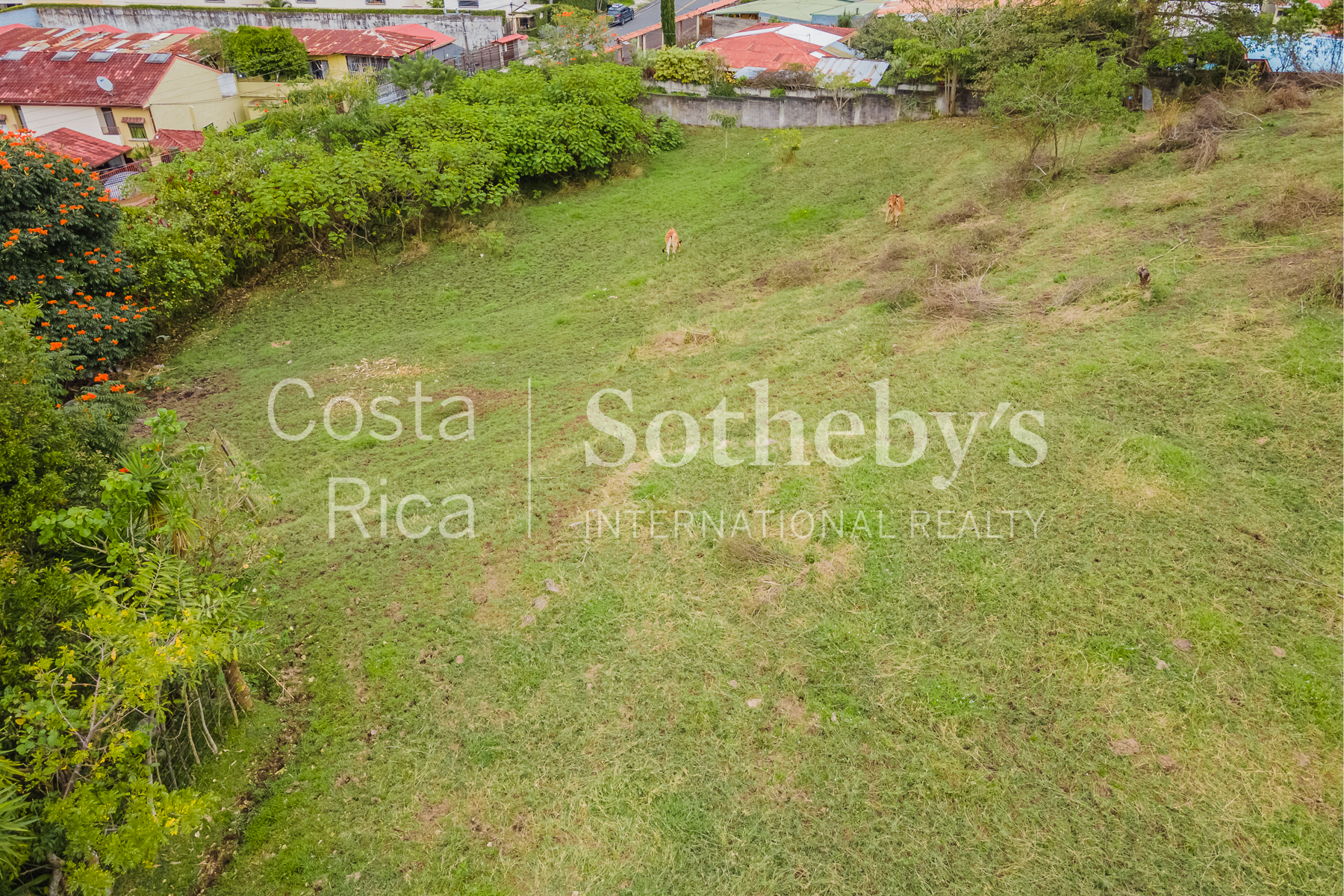  Land in San Rafael Escazú - 物件實景