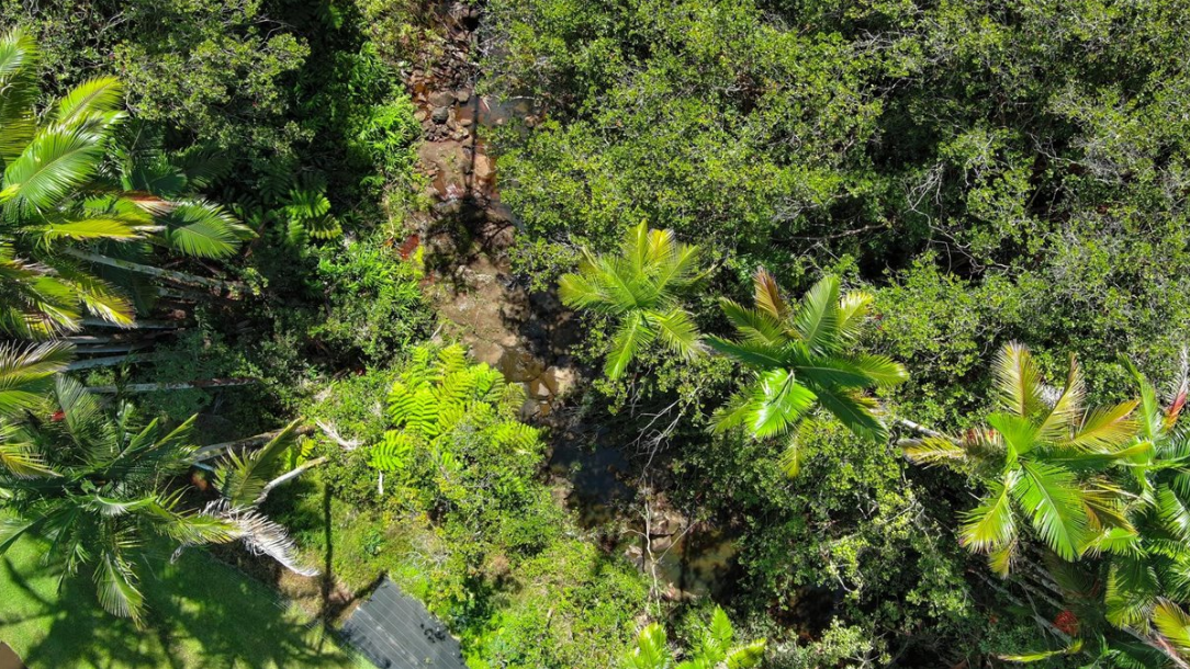 Hakalau, Hawaii, 96710, United States, 4 Bedrooms Bedrooms, ,3 BathroomsBathrooms,Residential,For Sale,1974995