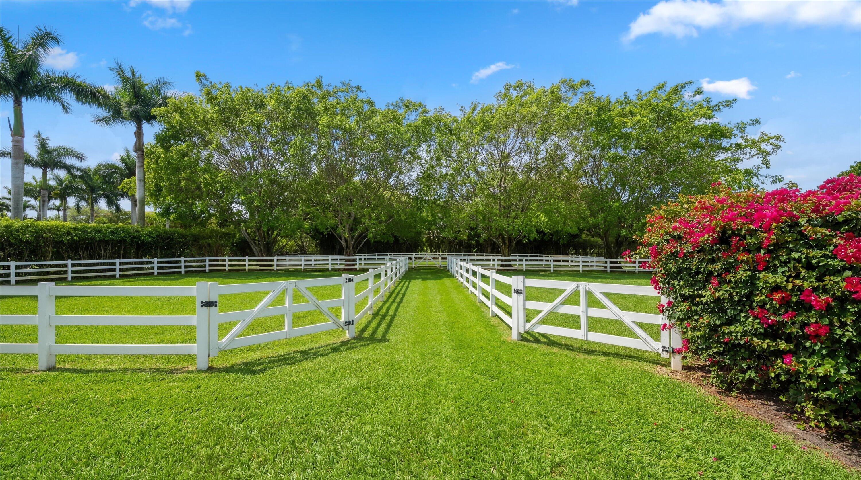  14911 Equestrian Way - 物件實景