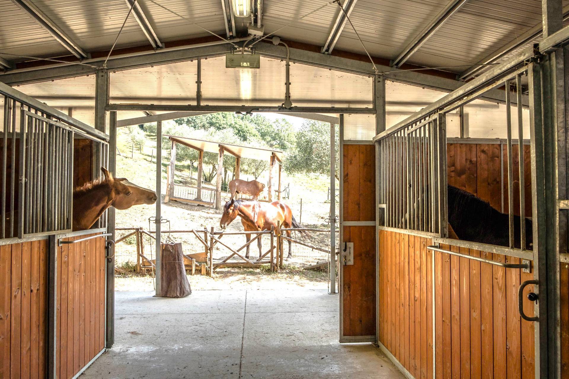 Umbertide, Perugia, 06019, IT, 12 Bedrooms Bedrooms, ,14 BathroomsBathrooms,Residential,For Sale,1986258