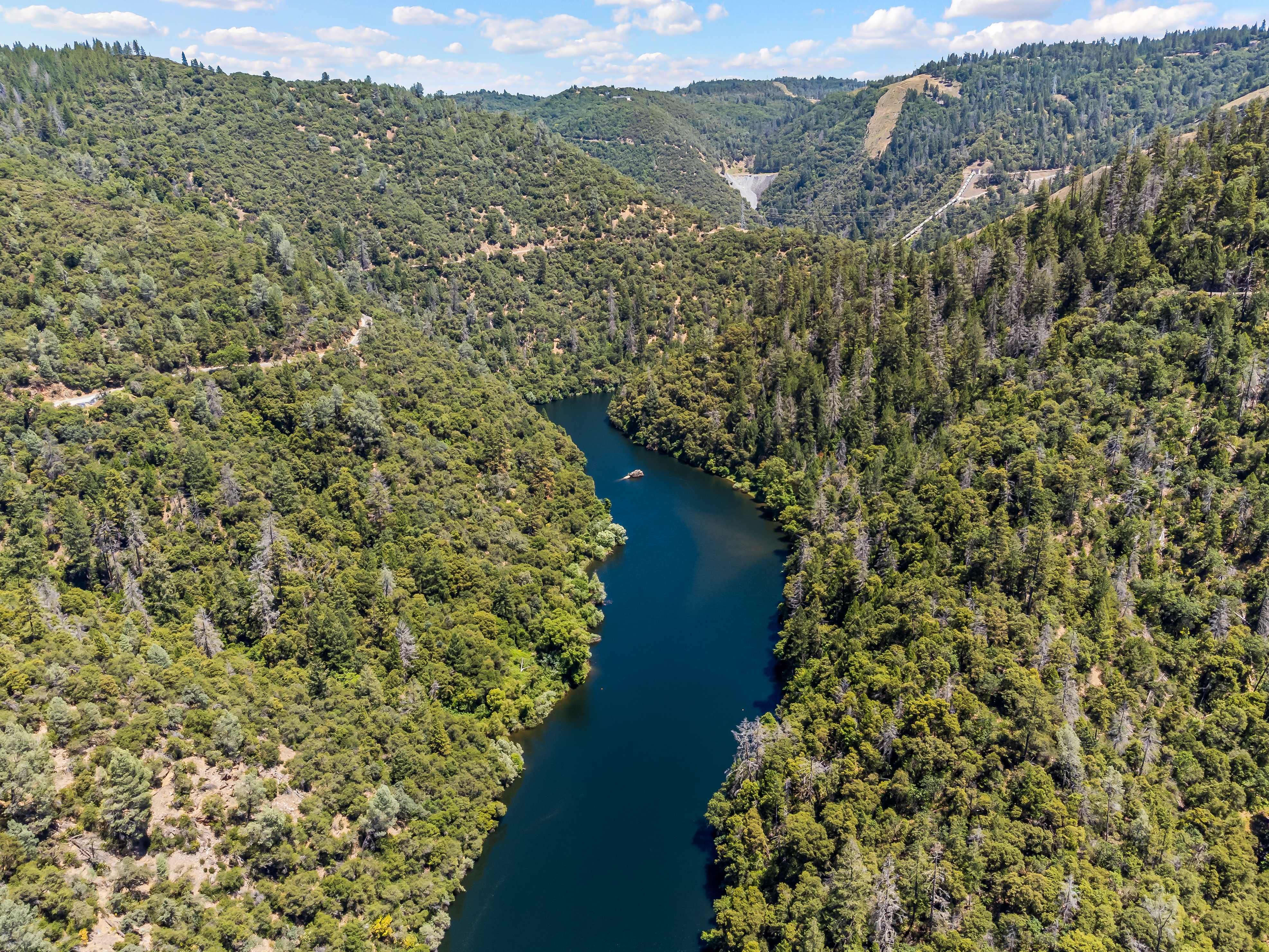  2640 Trail Gulch Road, Placerville, CA 95667 - 物件實景