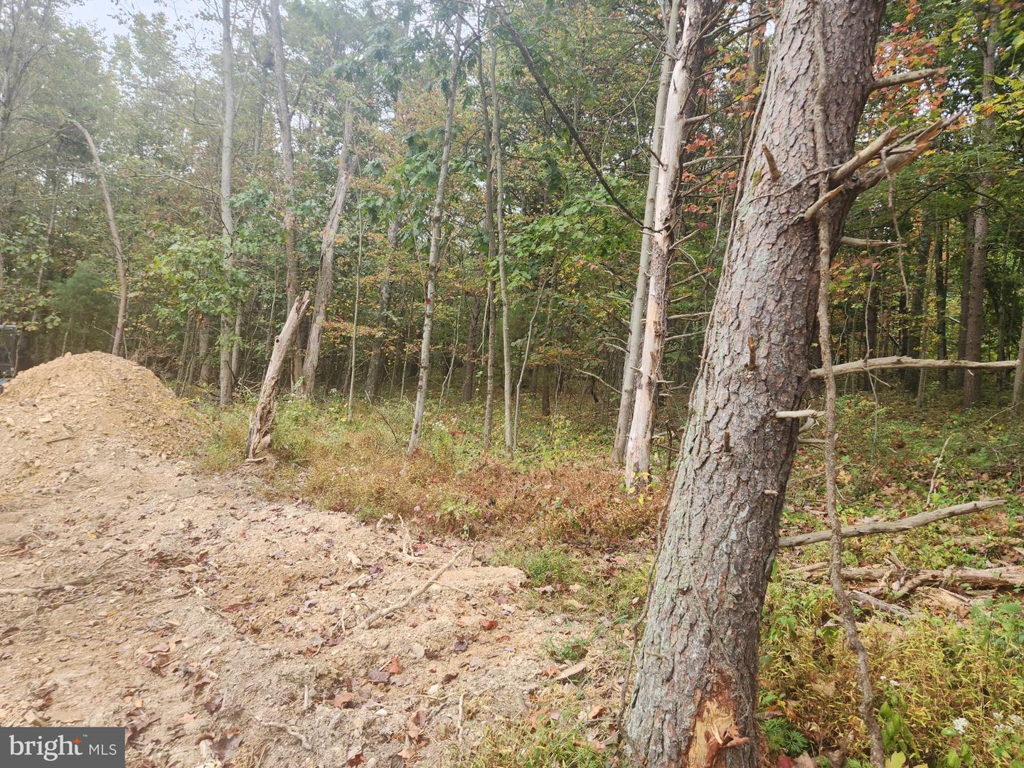 Elliottsburg, Pennsylvania, 17024, United States, 3 Bedrooms Bedrooms, ,3 BathroomsBathrooms,Residential,For Sale,1958205