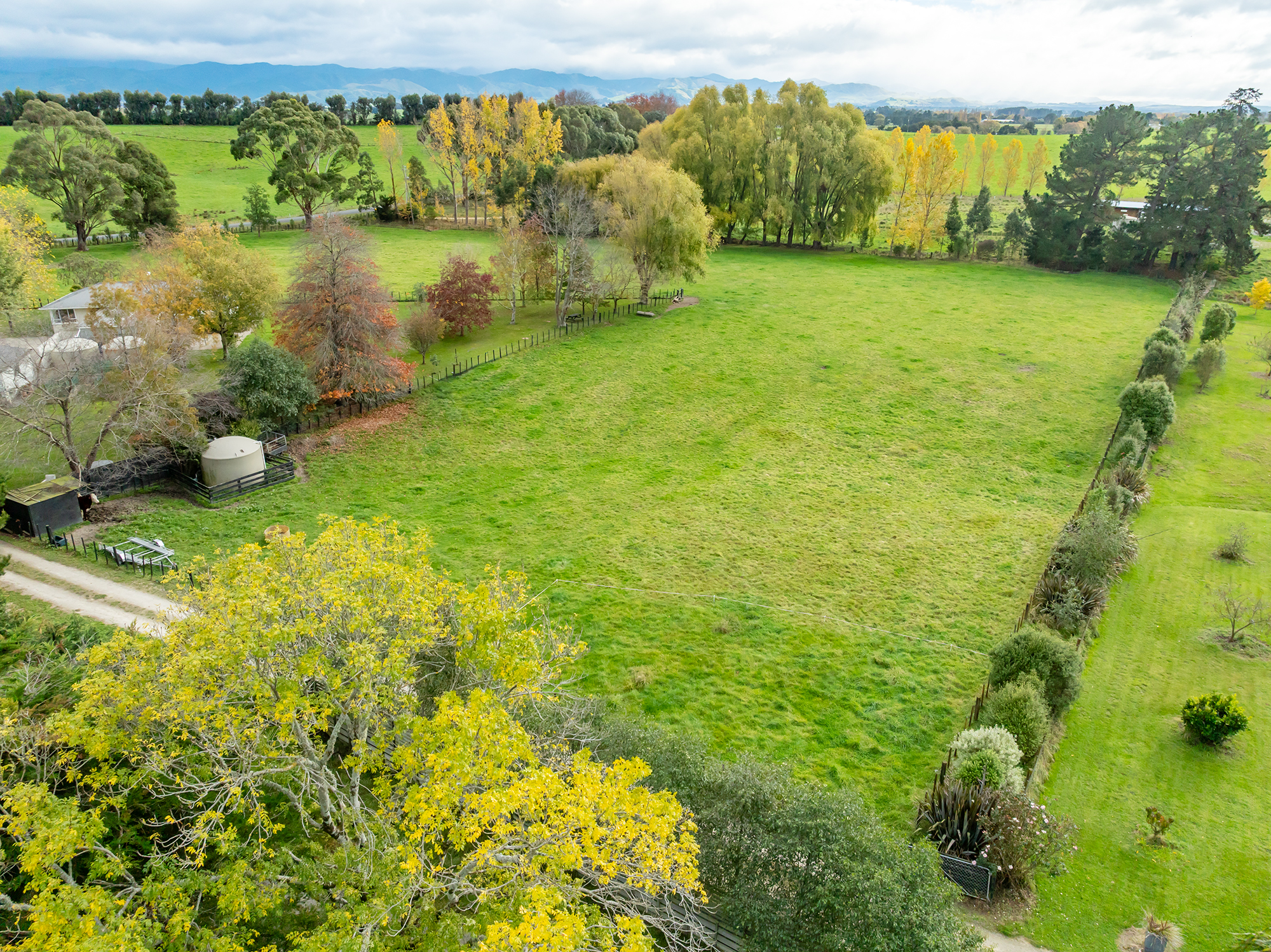  Wairarapa Lifestyle Haven - 物件實景