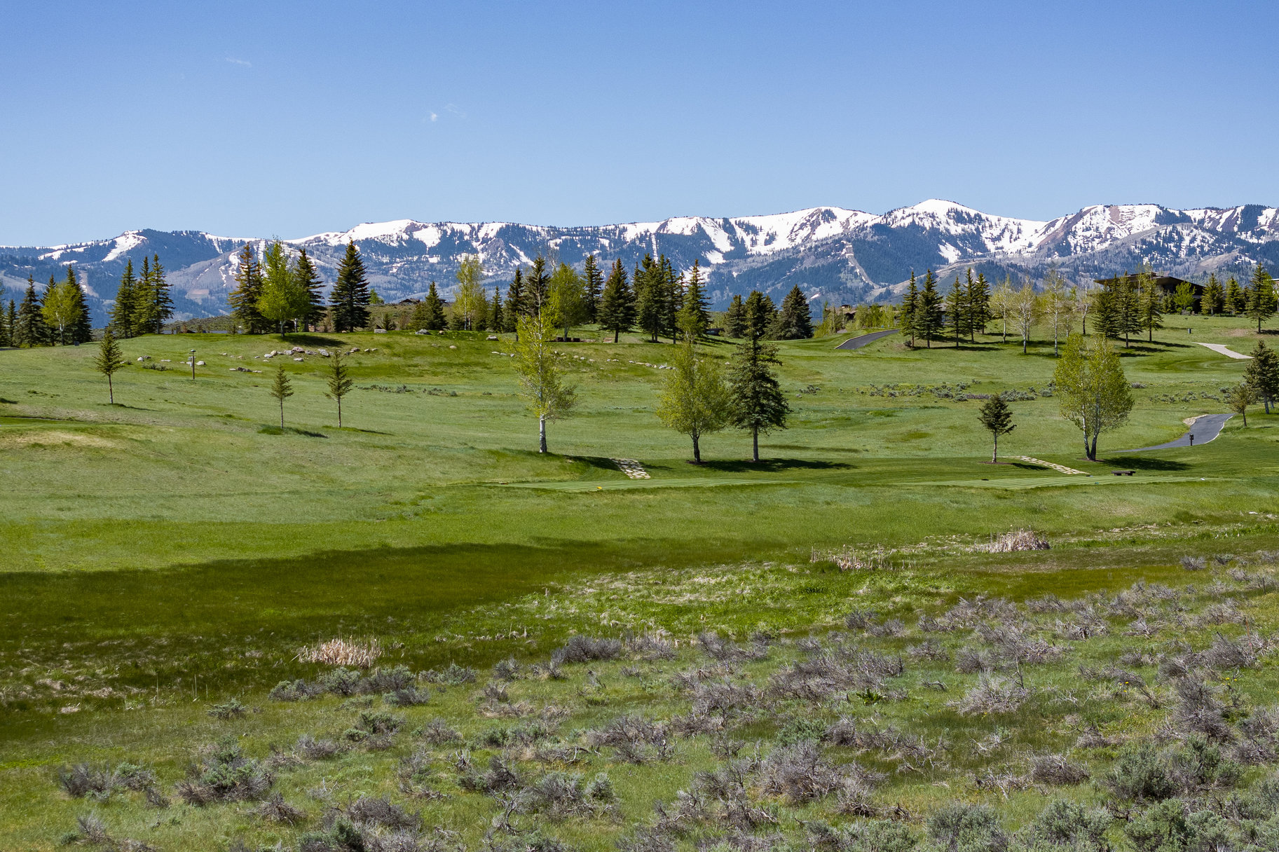  South-facing, Flat Lot on the 4th Green at Glenwild with Ski Resort Views - 物件實景