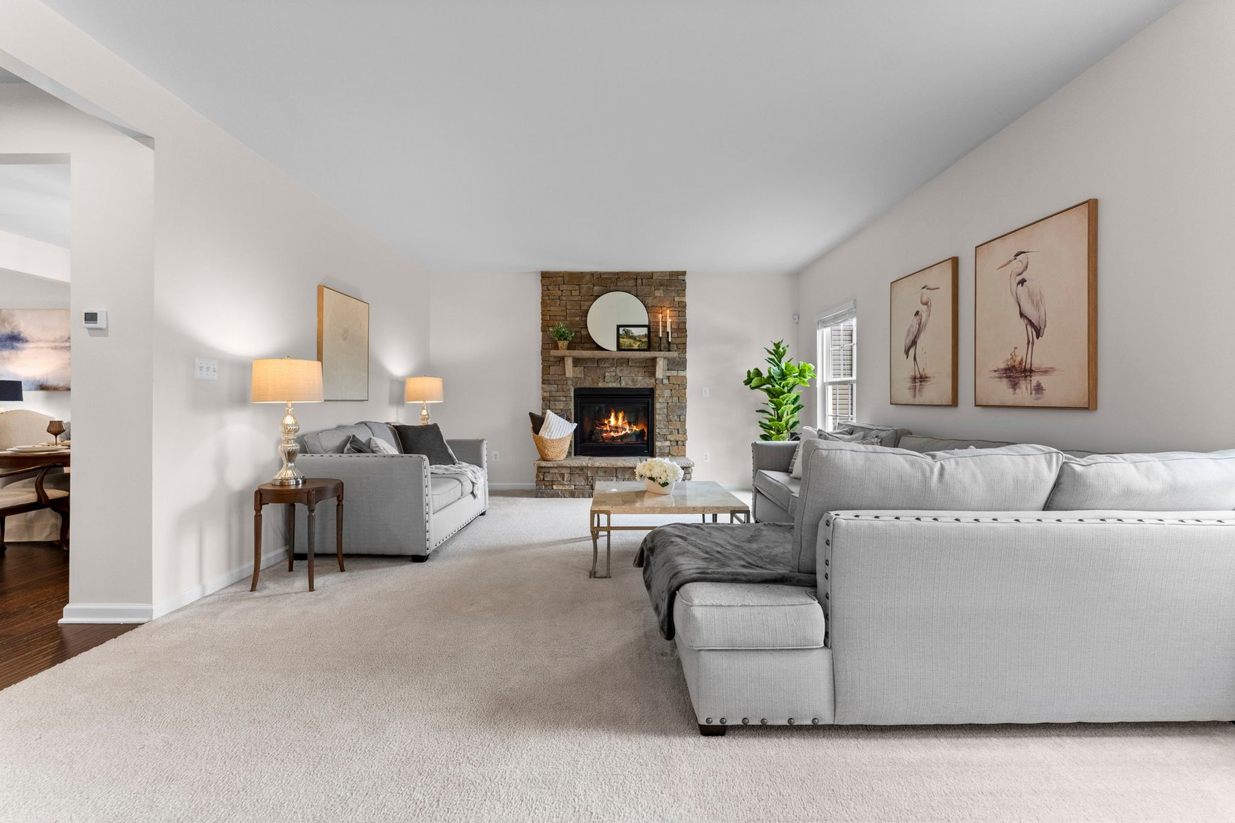  104 Poinsettia Way, Stephenson, VA 22656 - 物件實景