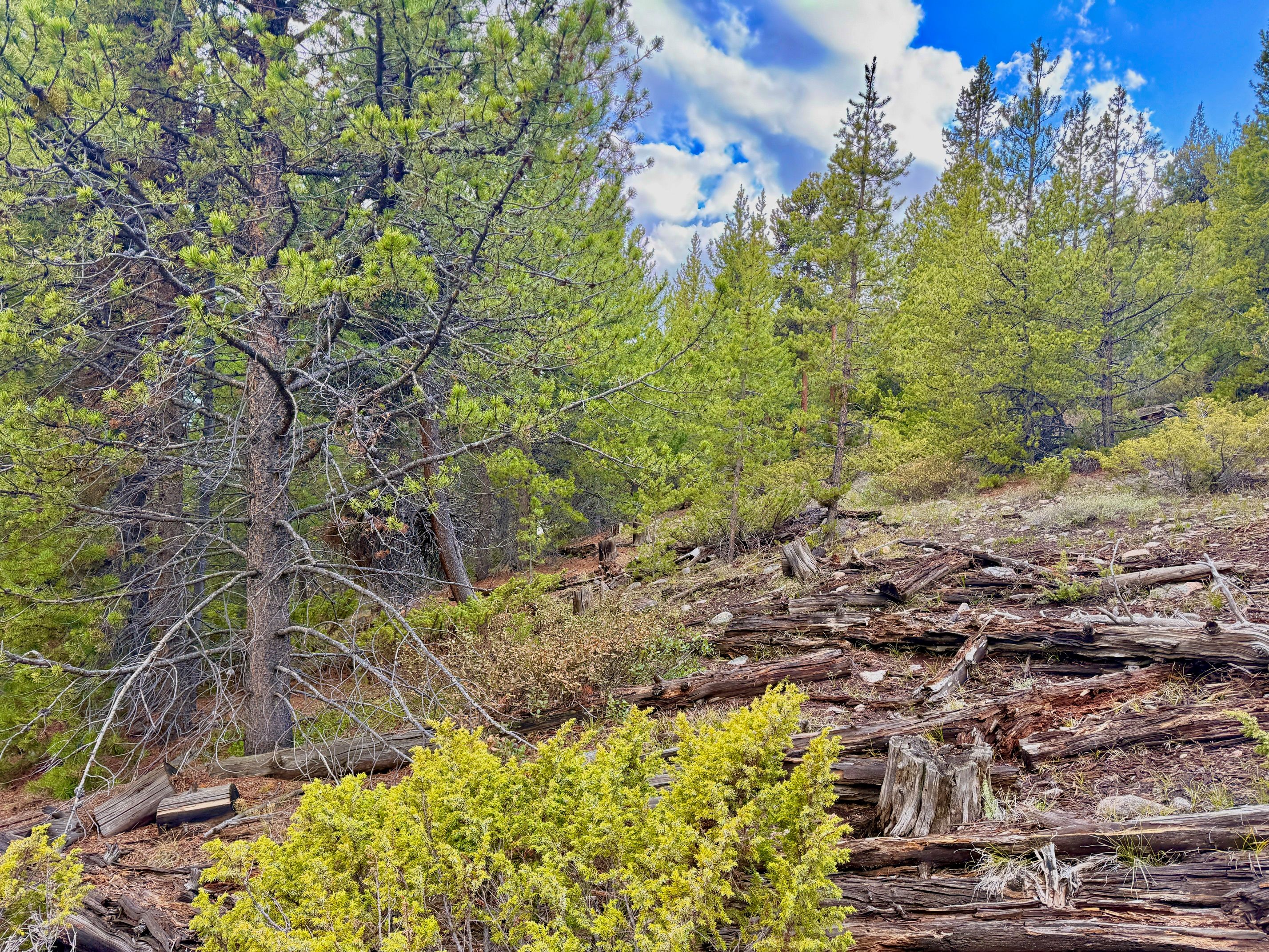  Giberson Preserve Lot 9 - 物件實景