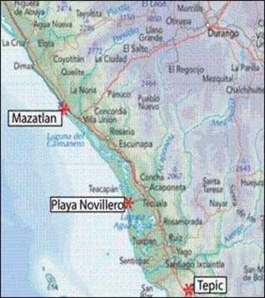 Tecuala, Nayarit, 63466, Mexico, 1 Bedroom Bedrooms, ,Residential,For Sale,1827763