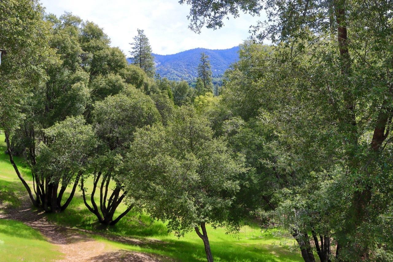 Mariposa, California, 95338, United States, 3 Bedrooms Bedrooms, ,3 BathroomsBathrooms,Residential,For Sale,1988847