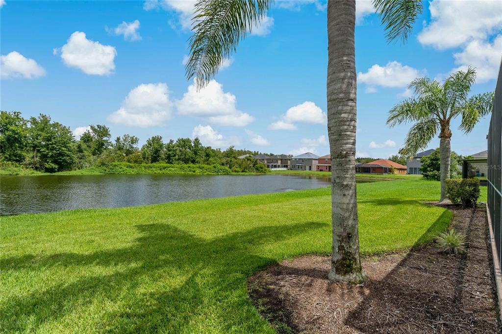 Tampa, Florida, 33647, United States, 4 Bedrooms Bedrooms, ,3 BathroomsBathrooms,Residential,For Sale,1906632