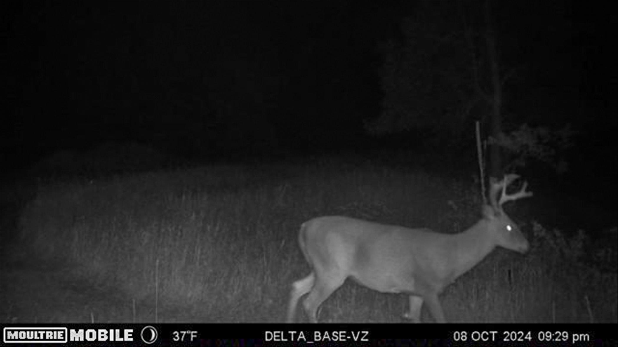 Midland, Michigan, 48640, United States, 3 Bedrooms Bedrooms, ,3 BathroomsBathrooms,Residential,For Sale,1975279