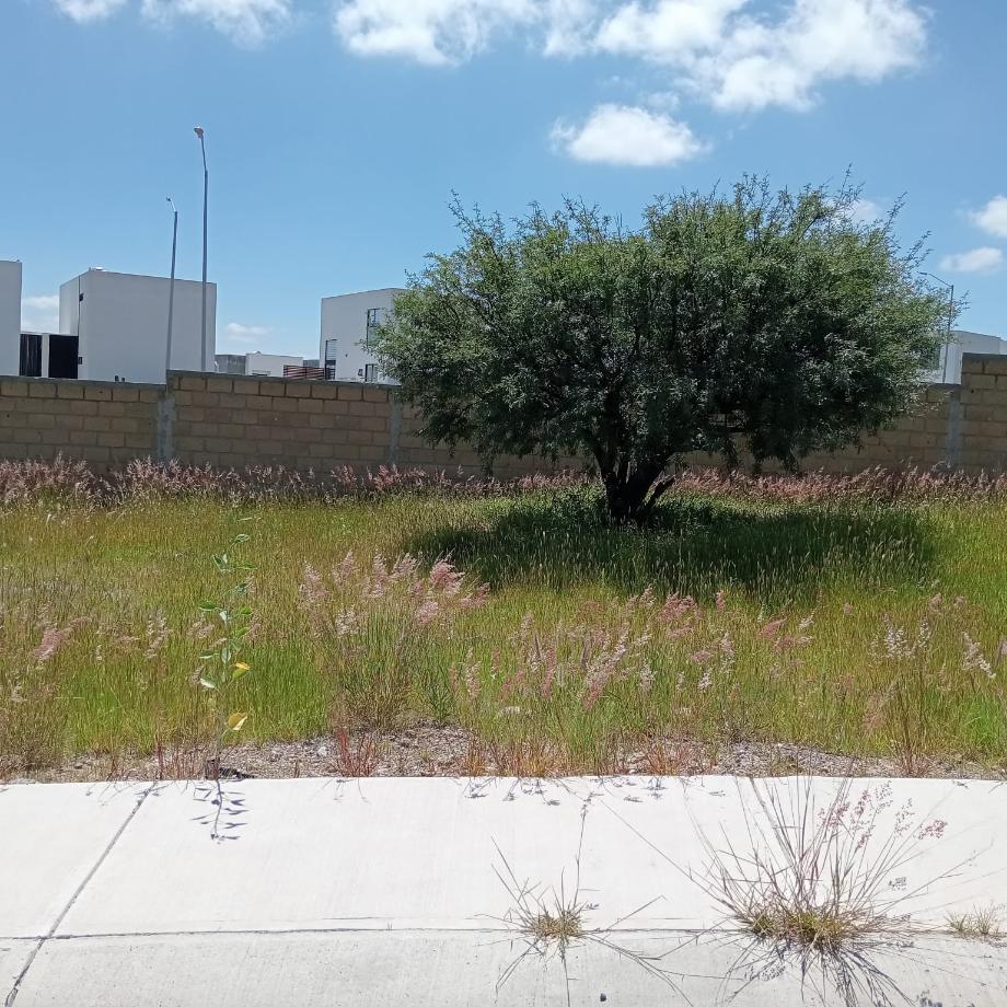 Querétaro, Querétaro, 76226, Mexico, 1 Bedroom Bedrooms, ,Residential,For Sale,1940057