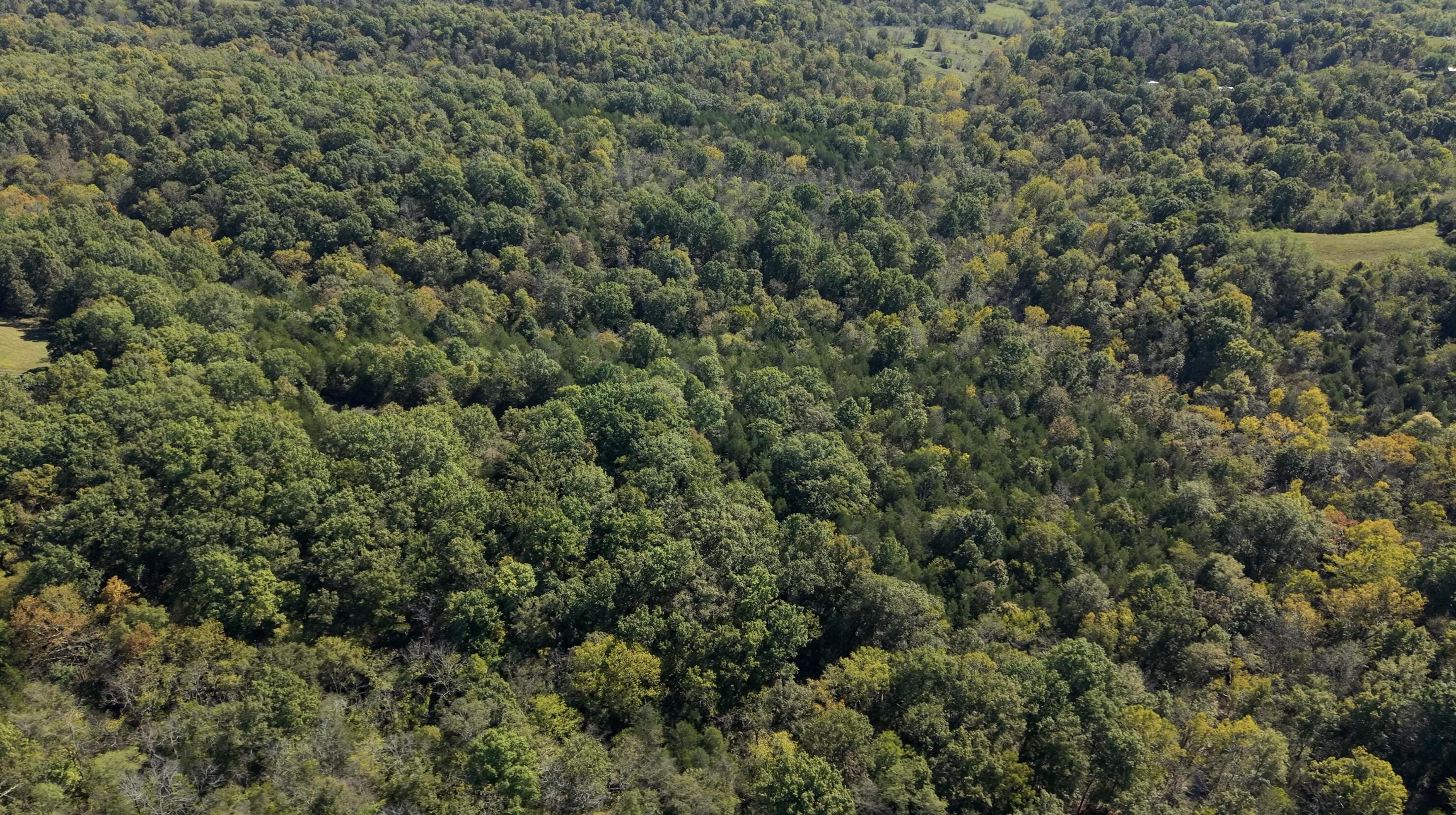 Willisburg, Kentucky, 40078, United States, 4 Bedrooms Bedrooms, ,1 BathroomBathrooms,Residential,For Sale,1962831