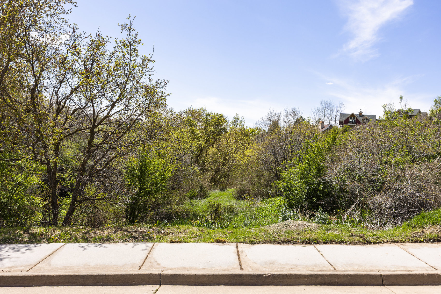  1.47 Acre Lot In East Layton With Endless Possibilities - 物件實景