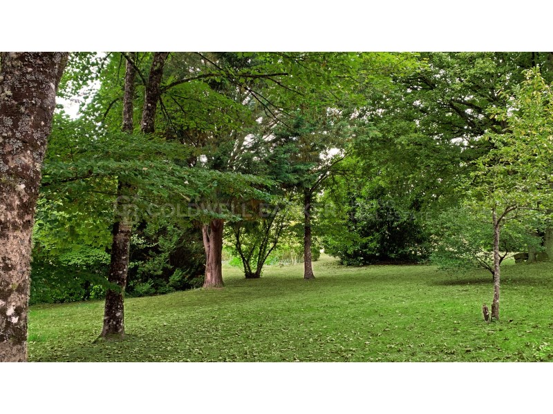 Lugo, Pant?n, Castill?n (Santiago) Lugo, Pant?n, C, Pantón, Galicia, ES, 10 Bedrooms Bedrooms, ,13 BathroomsBathrooms,Residential,For Sale,Lugo, Pant?n, Castill?n (Santiago) Lugo, Pant?n, C,1618788