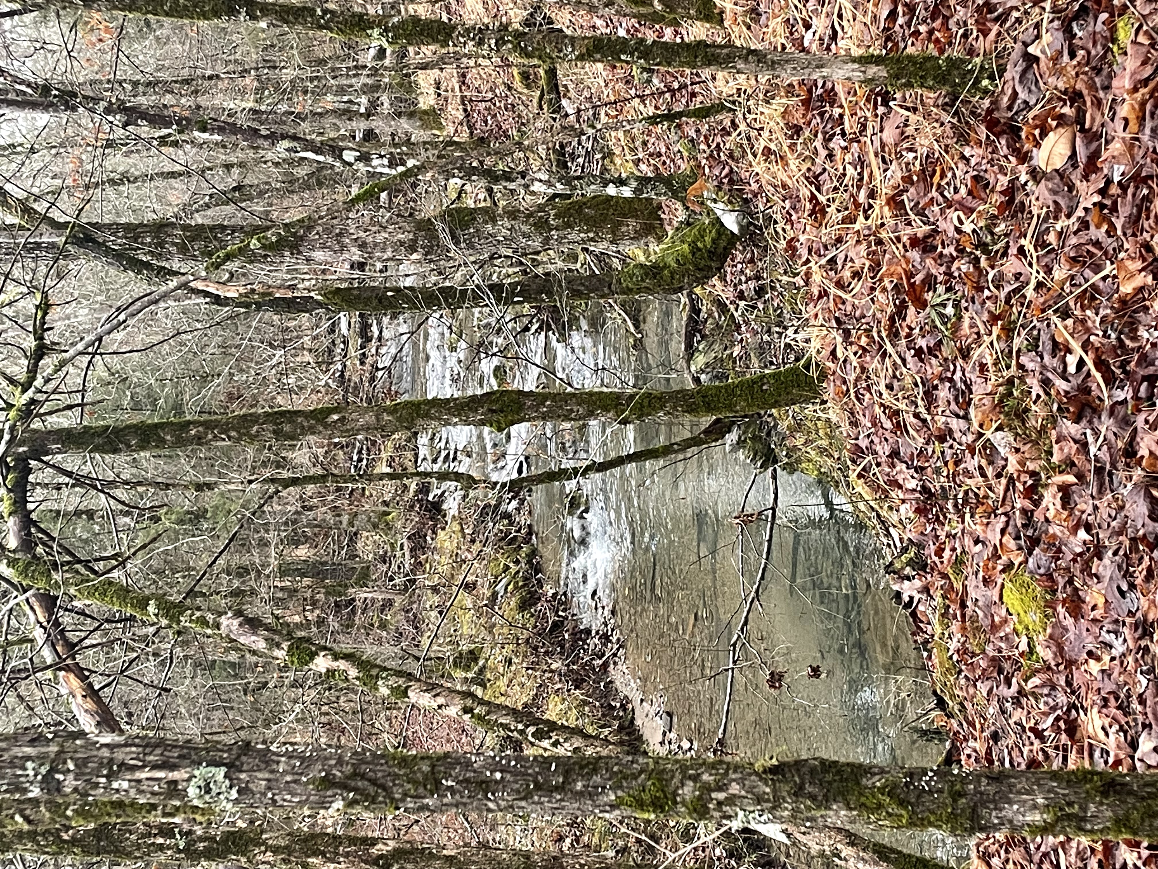 Mena, Arkansas, 71953, United States, 3 Bedrooms Bedrooms, ,3 BathroomsBathrooms,Residential,For Sale,1979119