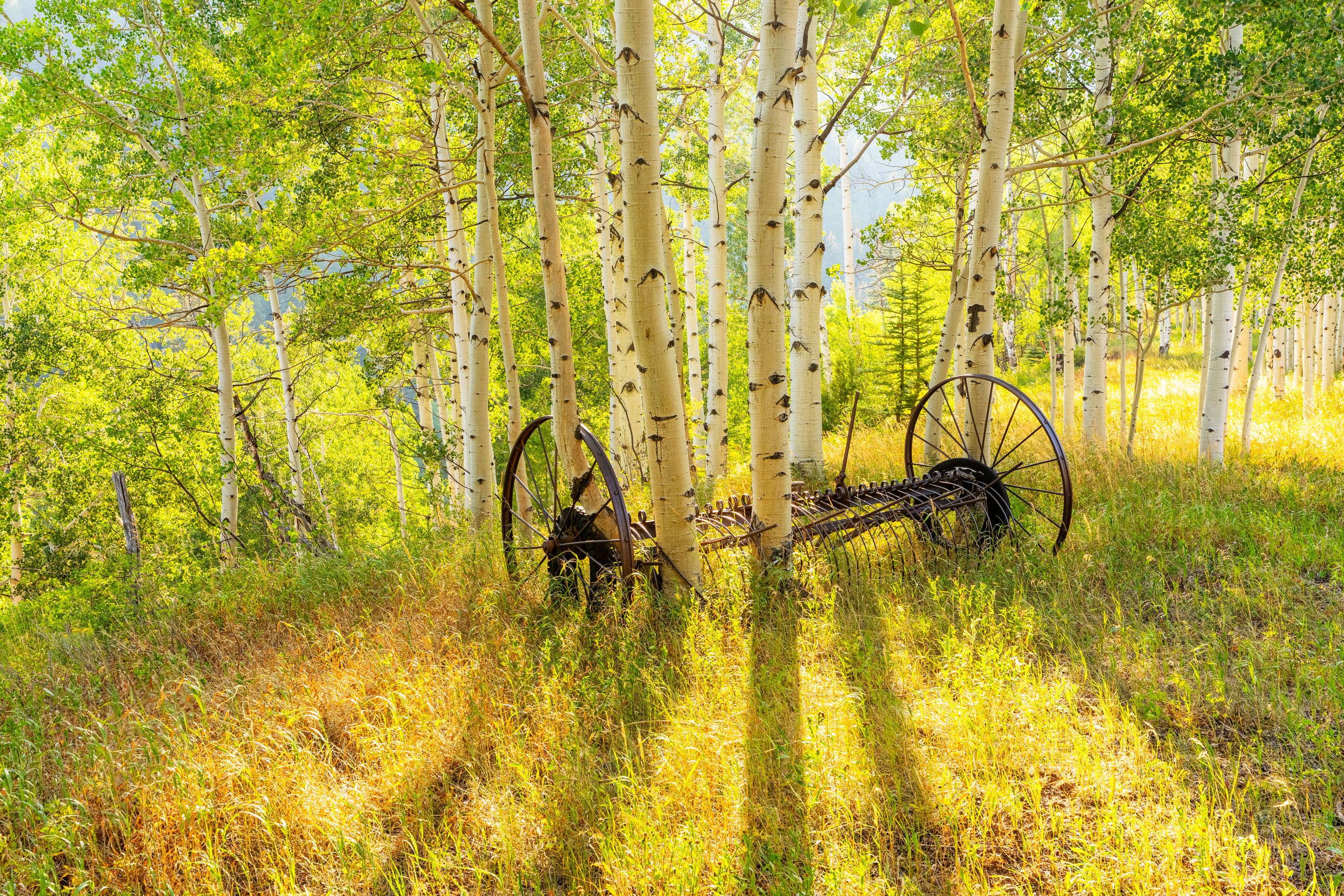  294 Ruedi Creek Road, Basalt, CO 81621 - 物件實景
