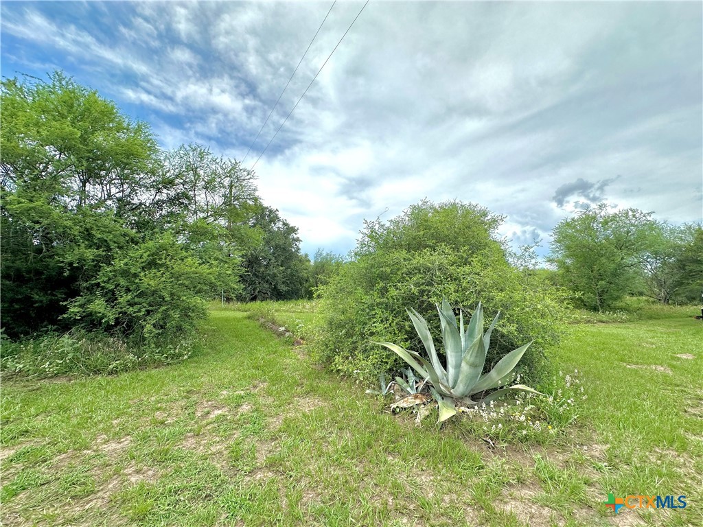 Nursery, Texas, 77976, United States, ,Land,For Sale,1885536