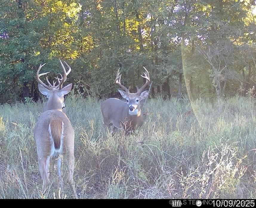 Haskell, Oklahoma, 74436, United States, ,Residential,For Sale,1989173