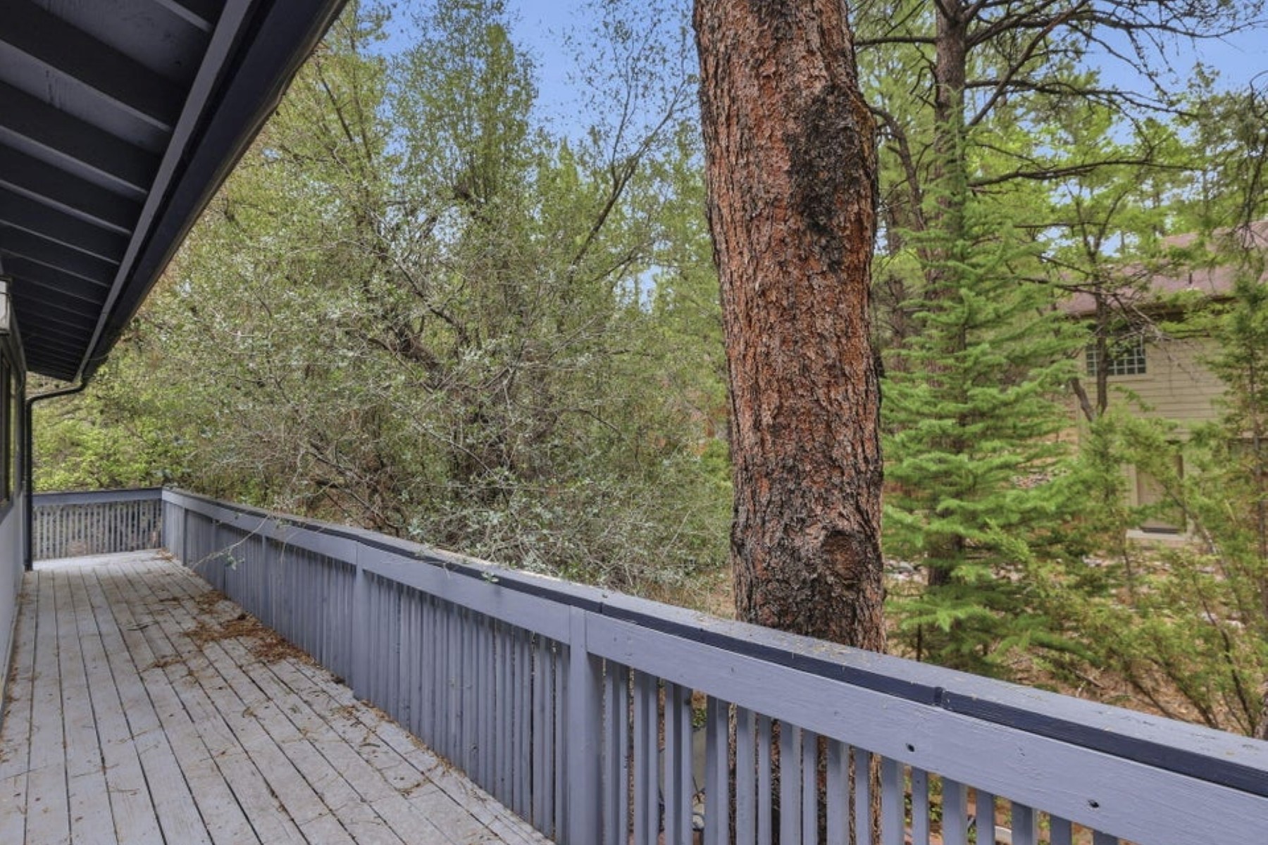  375 Banning Creek Rd¦Prescott, AZ - 物件實景