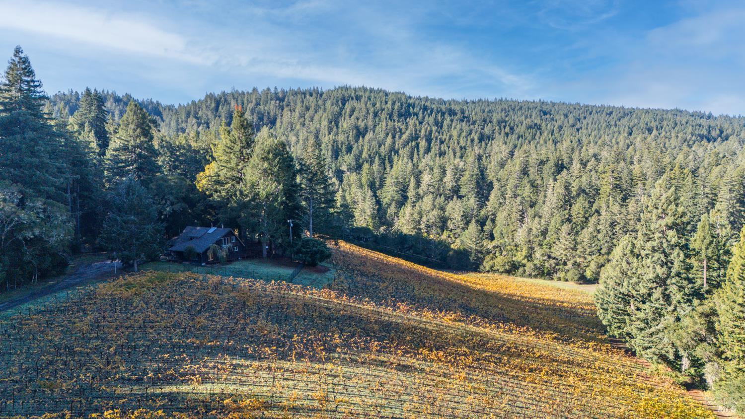 Philo, California, 95466, United States, 3 Bedrooms Bedrooms, ,3 BathroomsBathrooms,Residential,For Sale,1987364