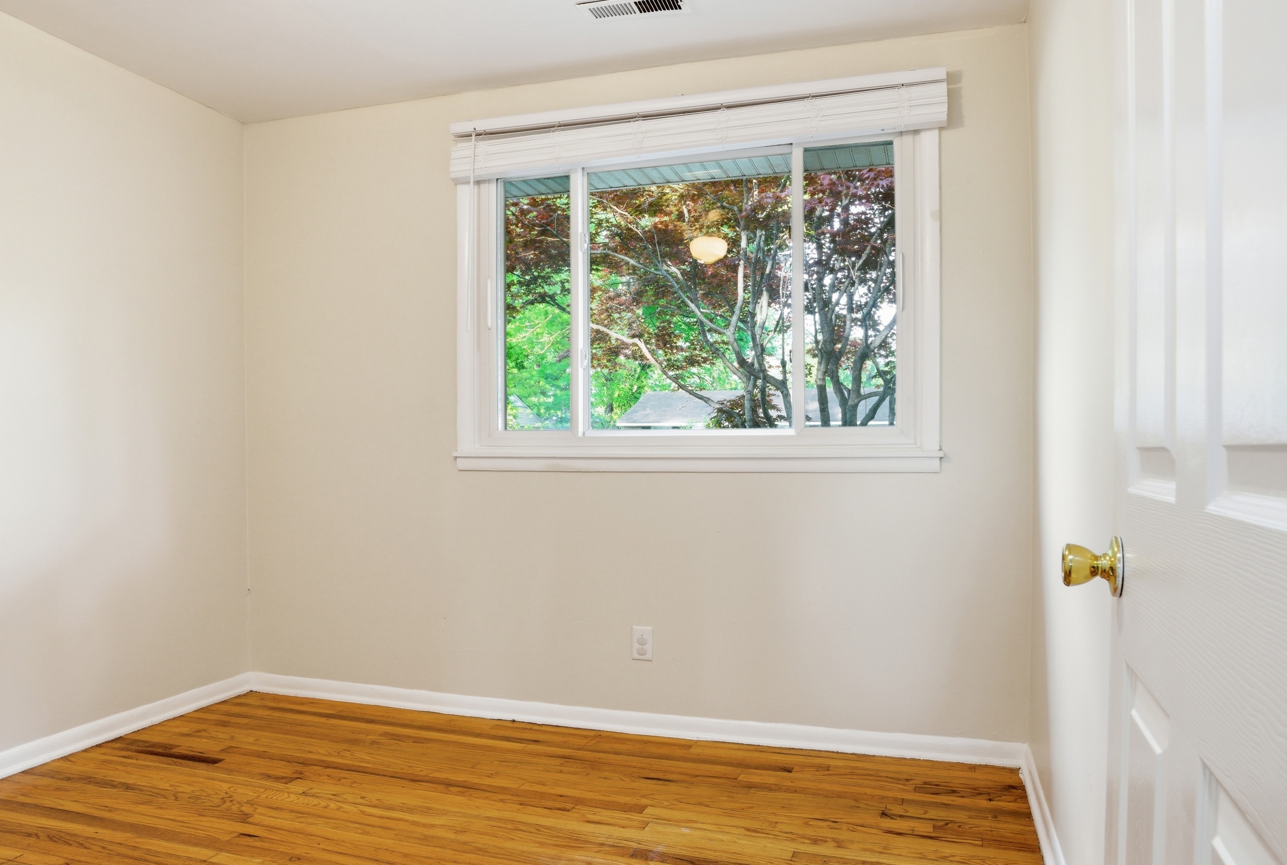  1206 Cleona Drive, Chesapeake, VA 23324 - 物件實景