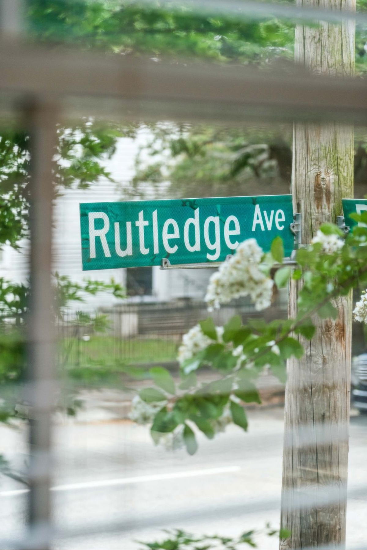  246 Rutledge Avenue, Charleston - 物件實景