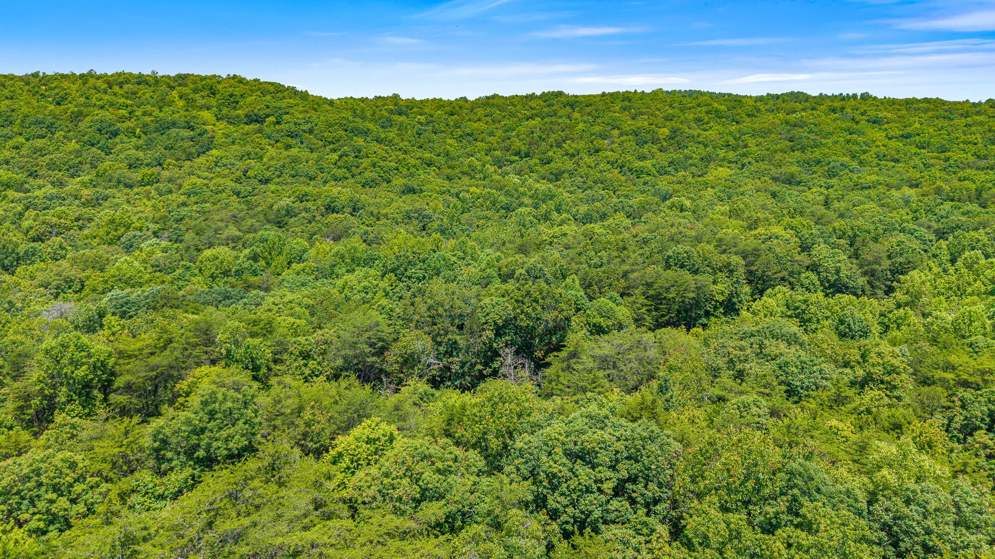 Dunlap, Tennessee, 37327, United States, ,Land,For Sale,1877286