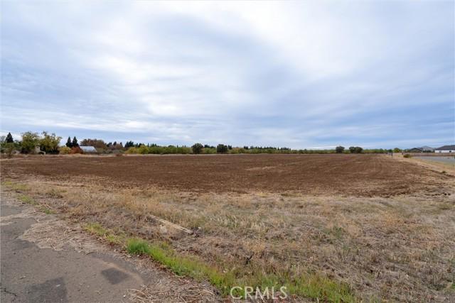 Chico, California, 95973, United States, ,Land,For Sale,1981972