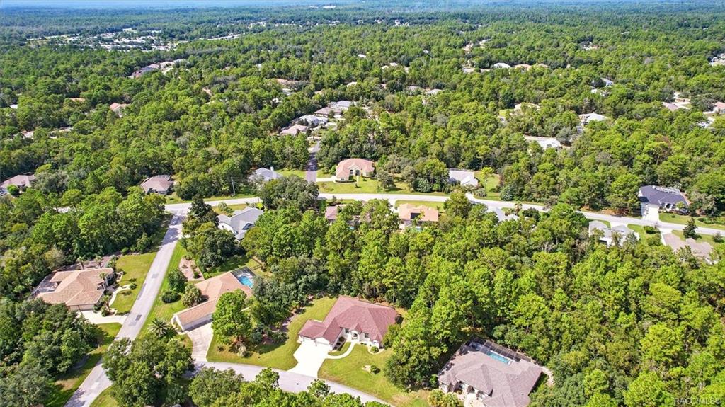 Homosassa, Florida, 34446, United States, 4 Bedrooms Bedrooms, ,4 BathroomsBathrooms,Residential,For Sale,1934205