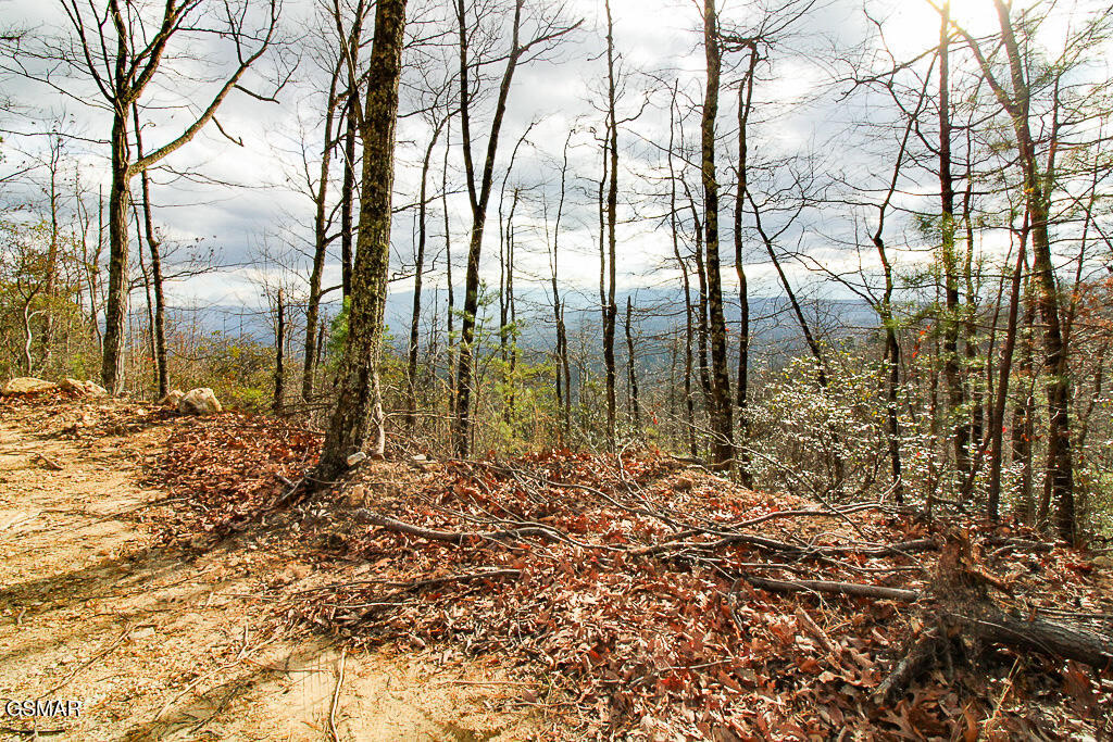 Sevierville, Tennessee, 37876, United States, ,Land,For Sale,2009102