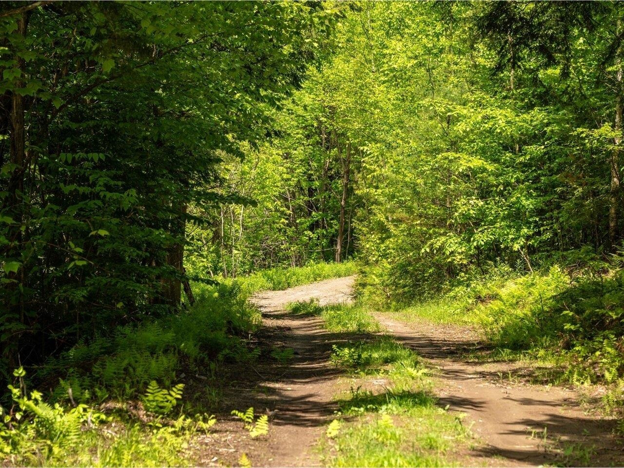 Berlin, Vermont, 05602, United States, ,Land,For Sale,1850214