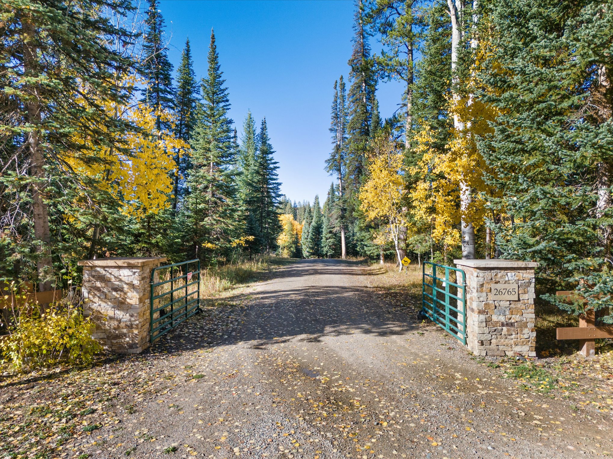  6.28-Acre North Routt Retreat - 物件實景