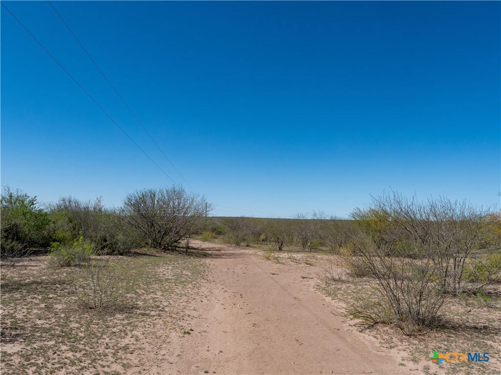 George West, Texas, 78022, United States, ,Land,For Sale,1738703