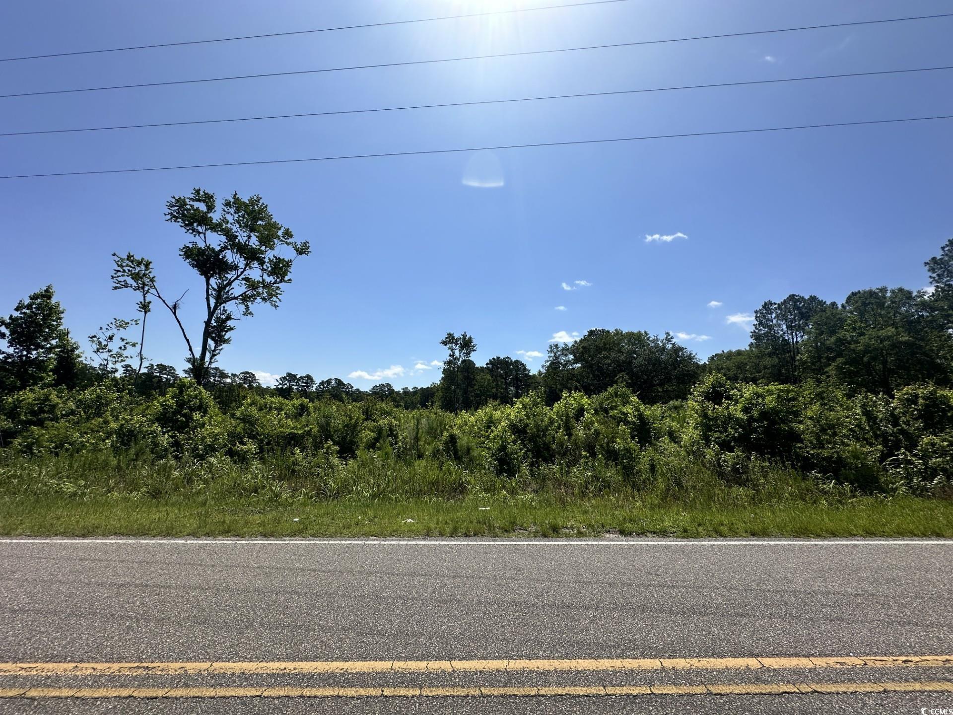 Longs, South Carolina, 29568, United States, ,Land,For Sale,1976577