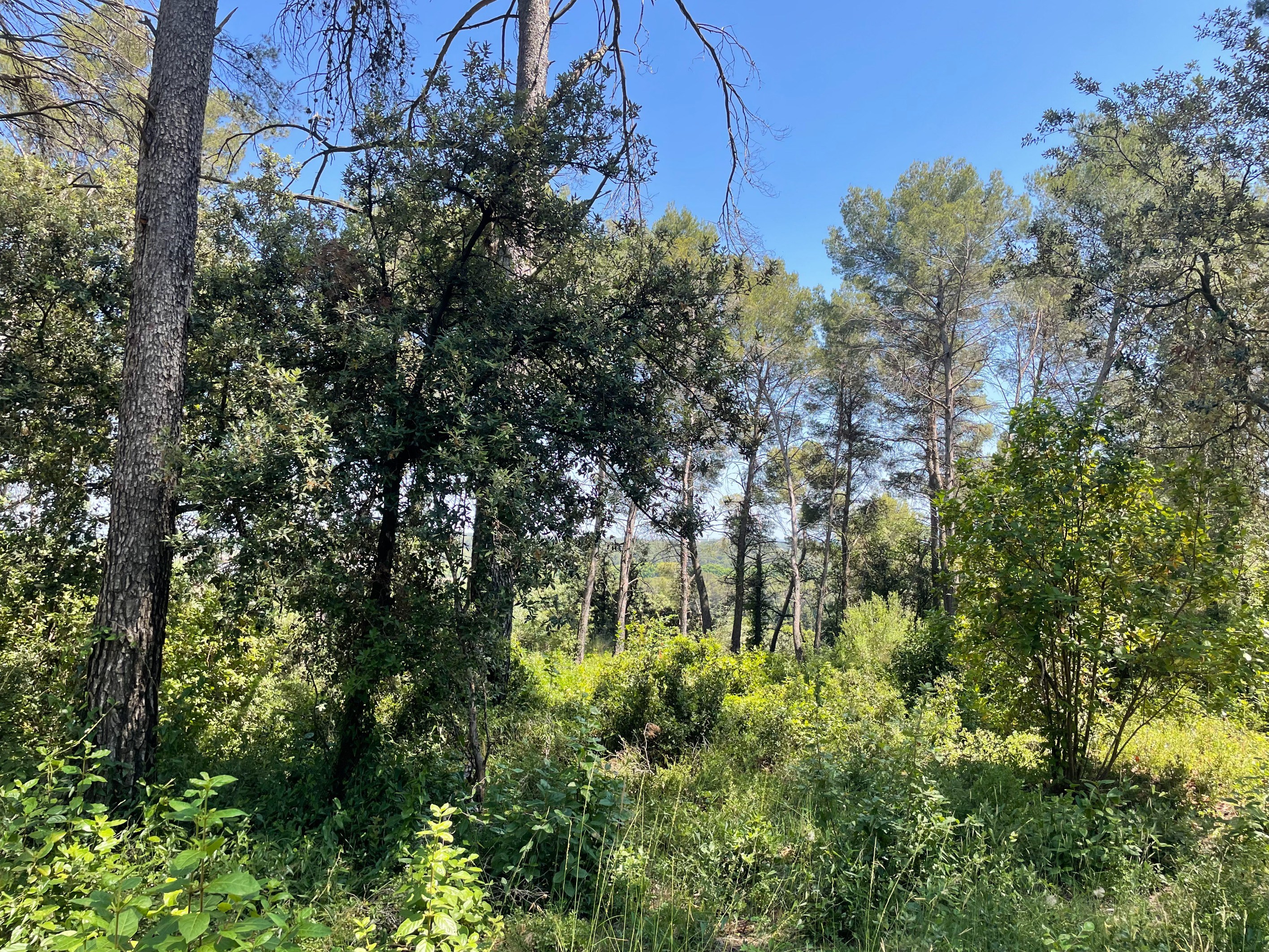  Belle vue – Permis accepté – Projet possible - 物件實景