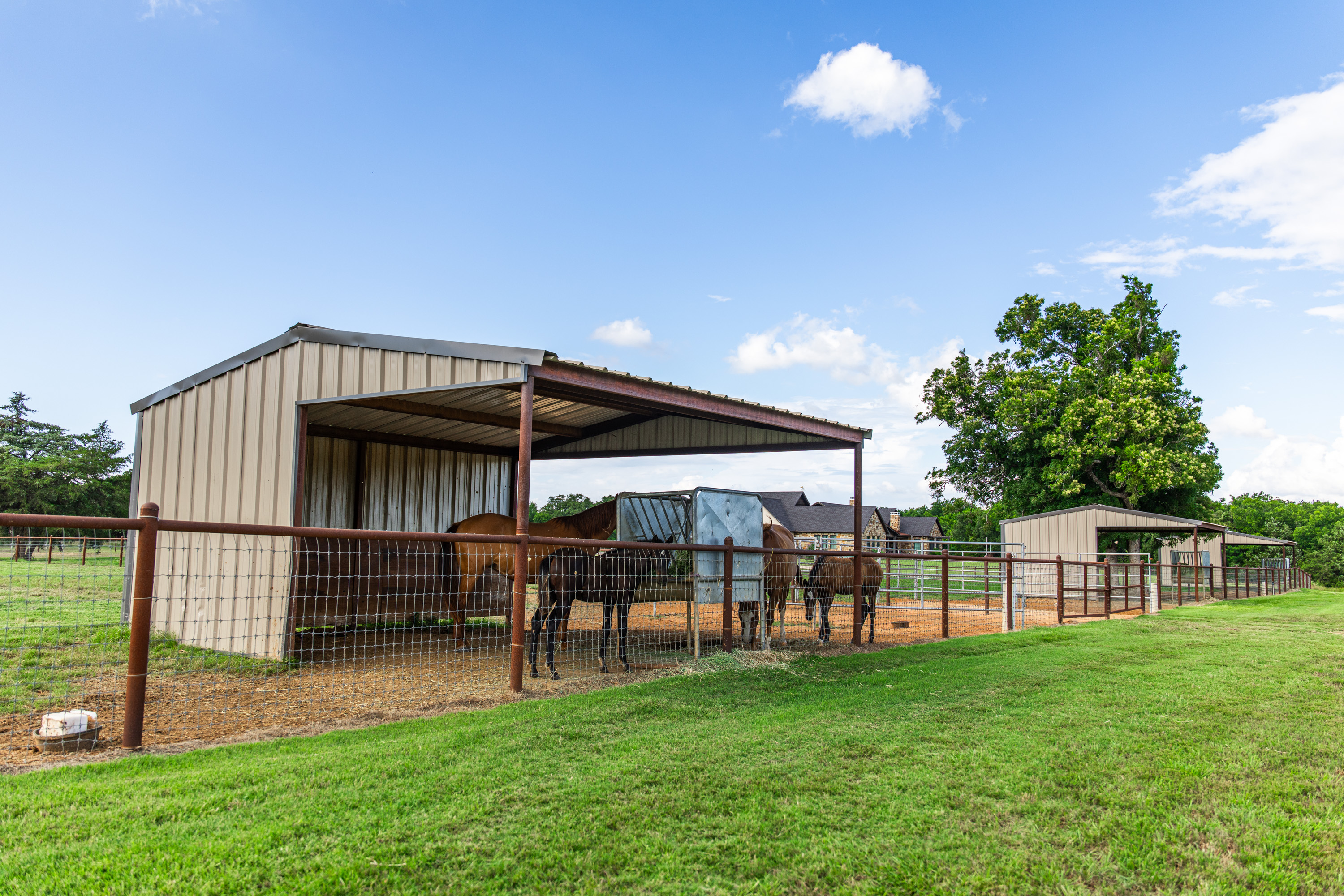 Walnut Creek Horse Farm - 物件實景