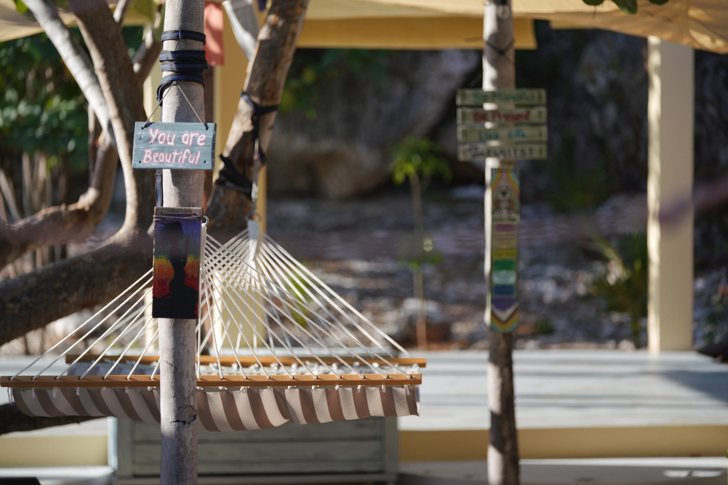  Oceanfront Large Land Parcel - 物件實景