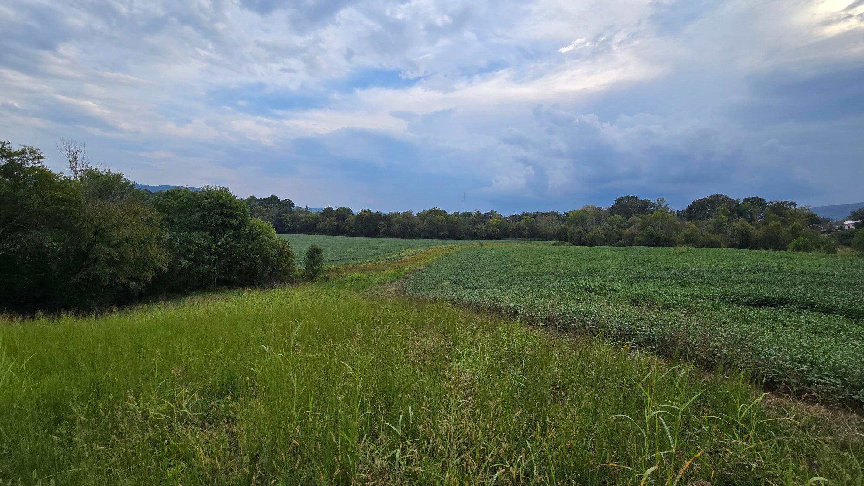 Pikeville, Tennessee, 37367, United States, ,Land,For Sale,1978902